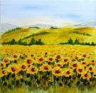 506_Sonnenblumenfeld_Toscana_V.jpg